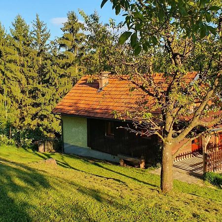 Hiska Ob Gozdu Villa Polzela Bagian luar foto