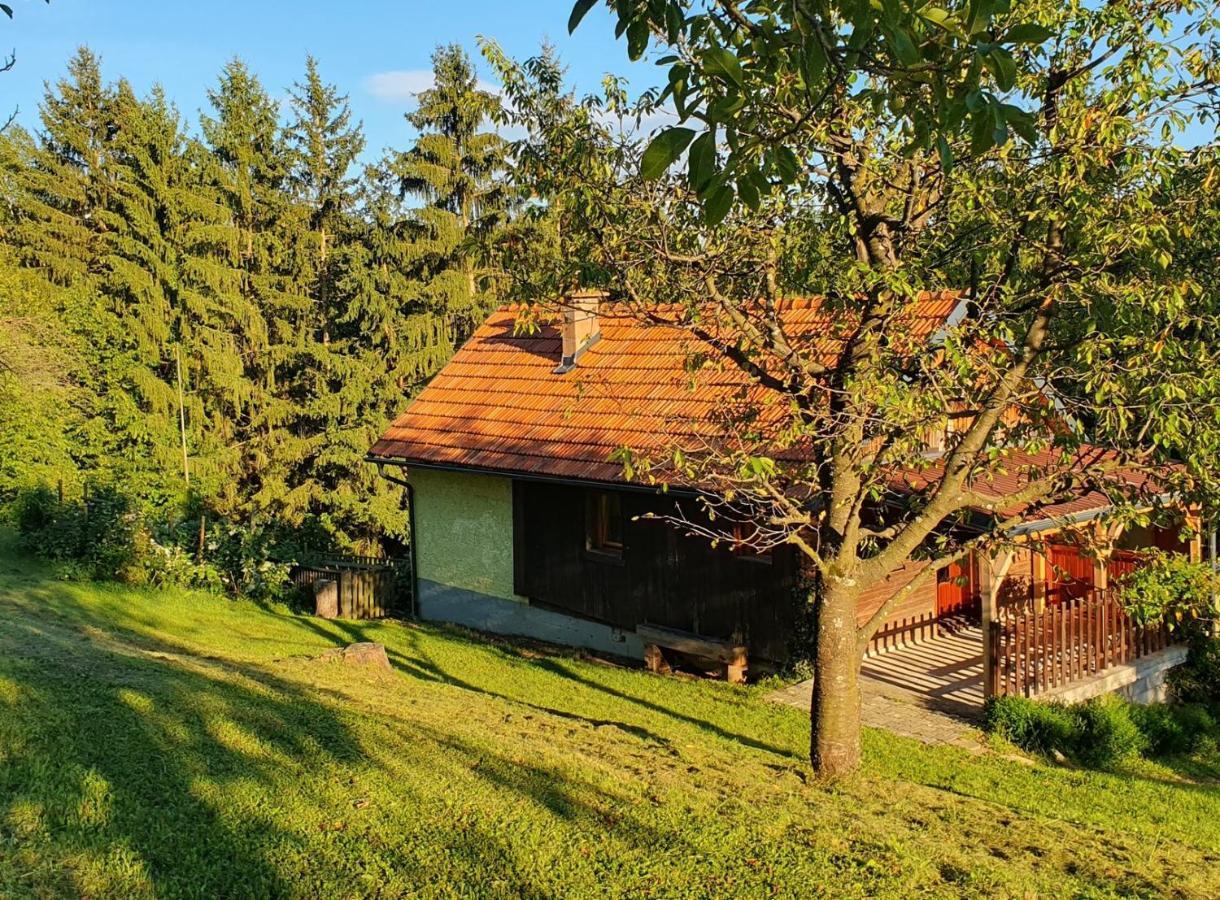 Hiska Ob Gozdu Villa Polzela Bagian luar foto