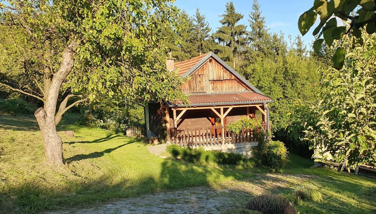 Hiska Ob Gozdu Villa Polzela Bagian luar foto